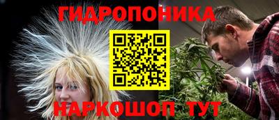 ECSTASY Конаково