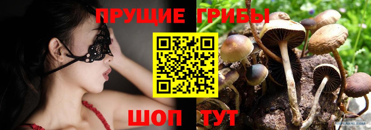 Касимов  где продают   Вход с VPN  Псилоцибиновые грибы Magic Shrooms 
